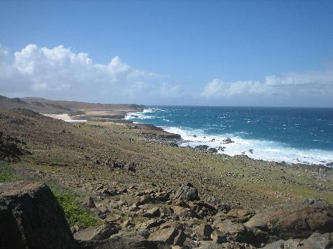 20060122131252   Shore